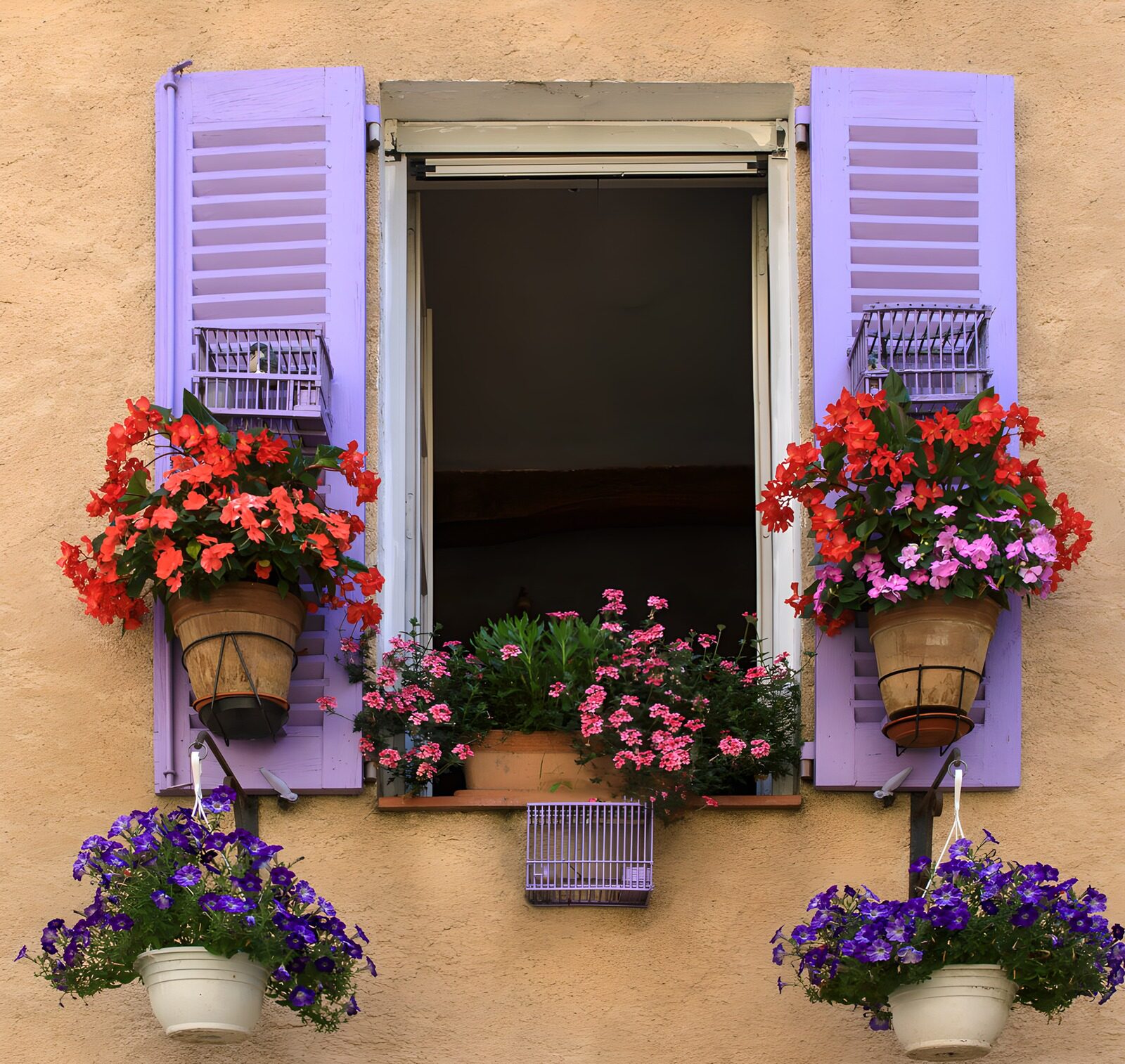OCUK16123: Colorful Window with Blooming Flowers