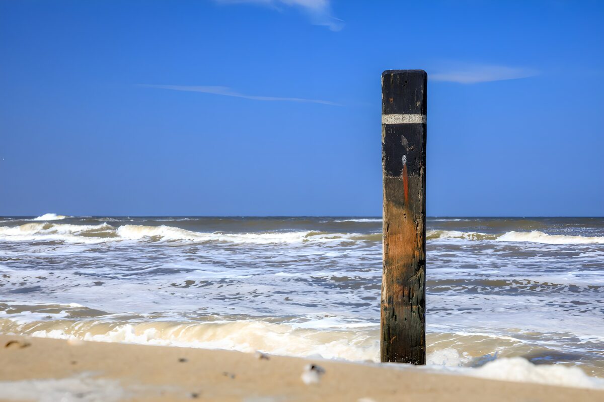 OCUK48845: Weathered Post by the Shoreline