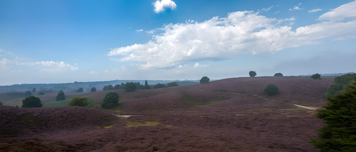 OCUK18644: View of moorland