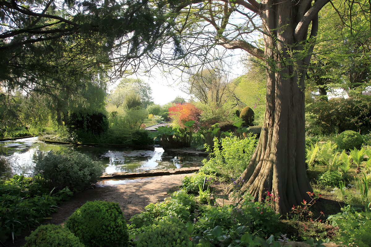 OCUK16414: Tranquil Garden Oasis