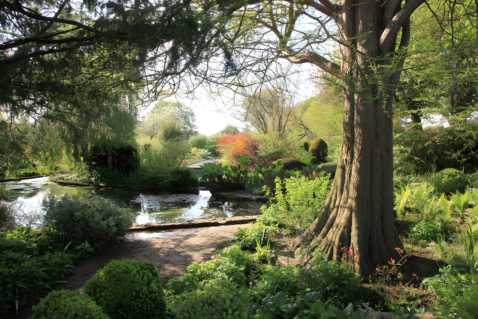OCUK16414: Tranquil Garden Oasis