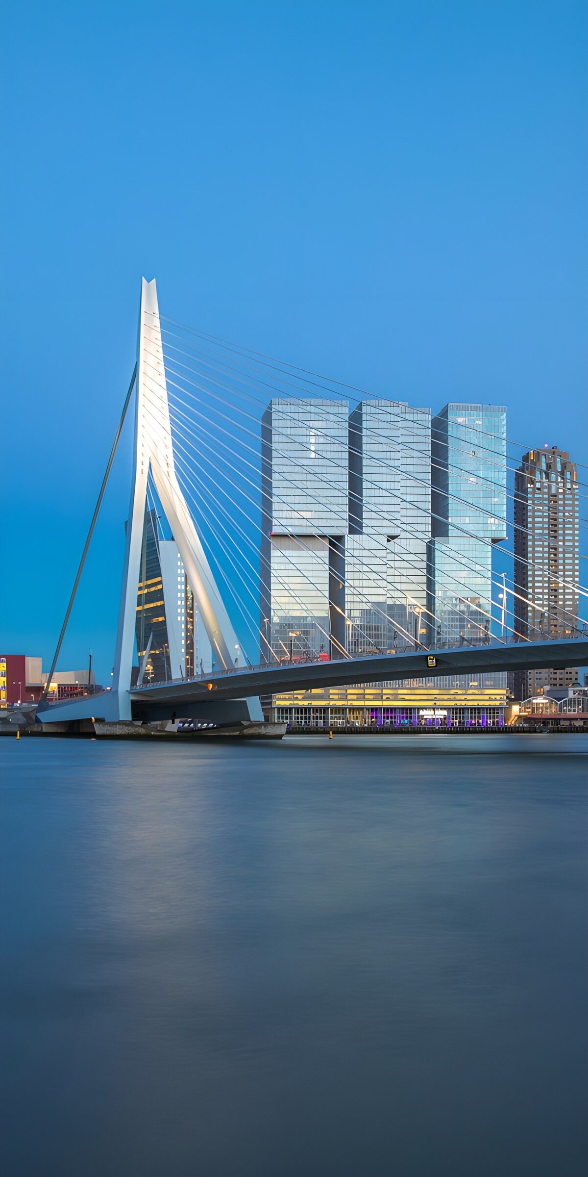 OCUK38908: Rotterdam's Modern Skyline at Dusk