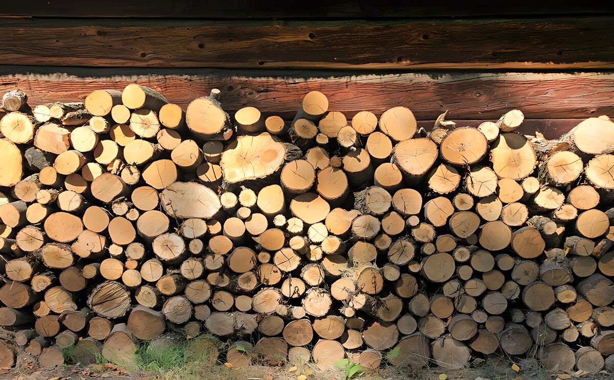 OCUK14354: Stacked Firewood in Natural Light