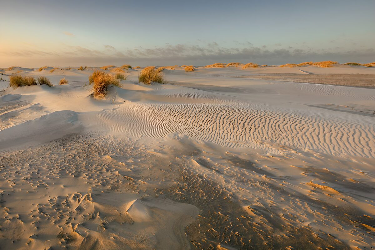 OCUK25598: Tranquil Dunes at Sunset
