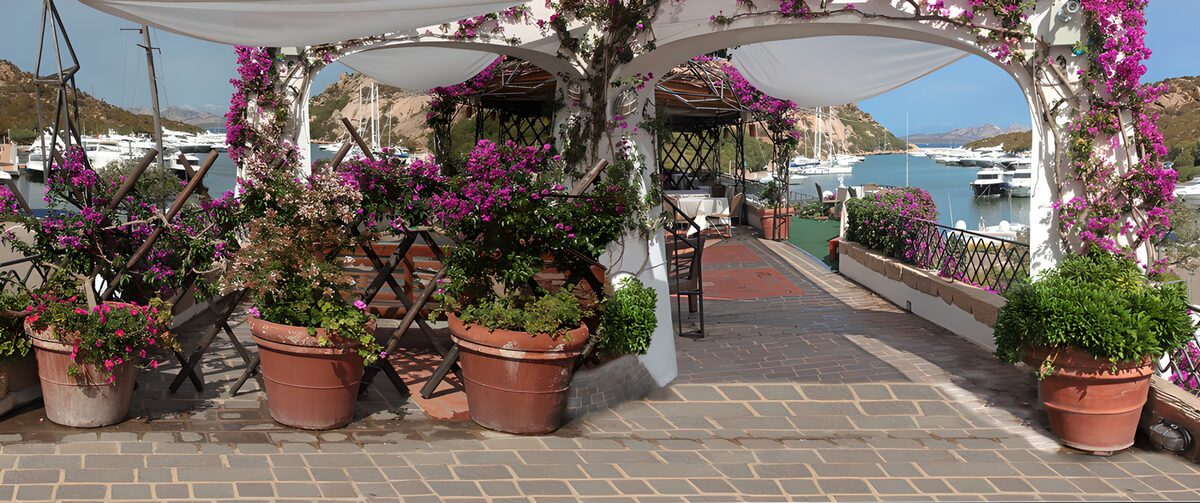Some flowerpots with colourful flowers on a terrace