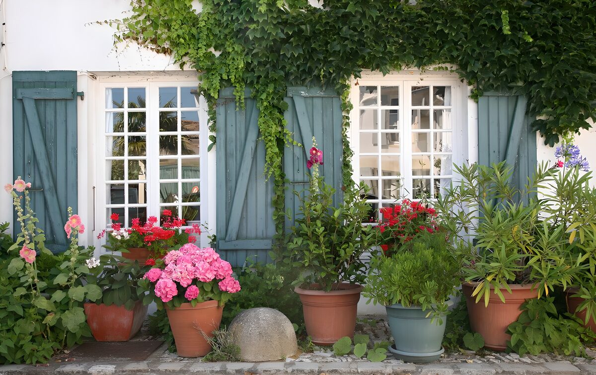 OCUK85937: Charming Floral Window Garden