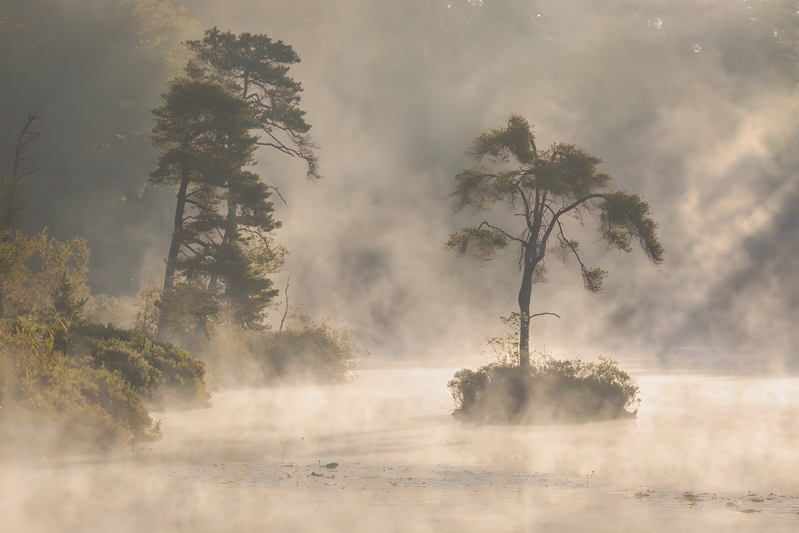 OCUK39358: Misty Tranquility at Dawn