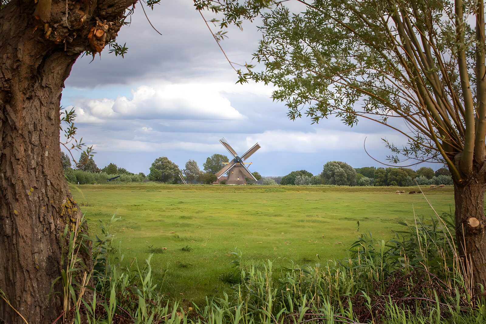 OCUK75334: Scenic Windmill Framed by Trees