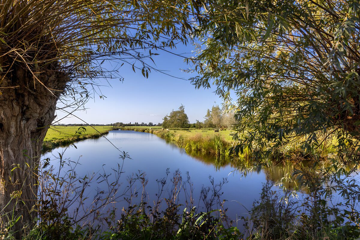 OCUK35995: Serene Waterscape in Nature's Embrace