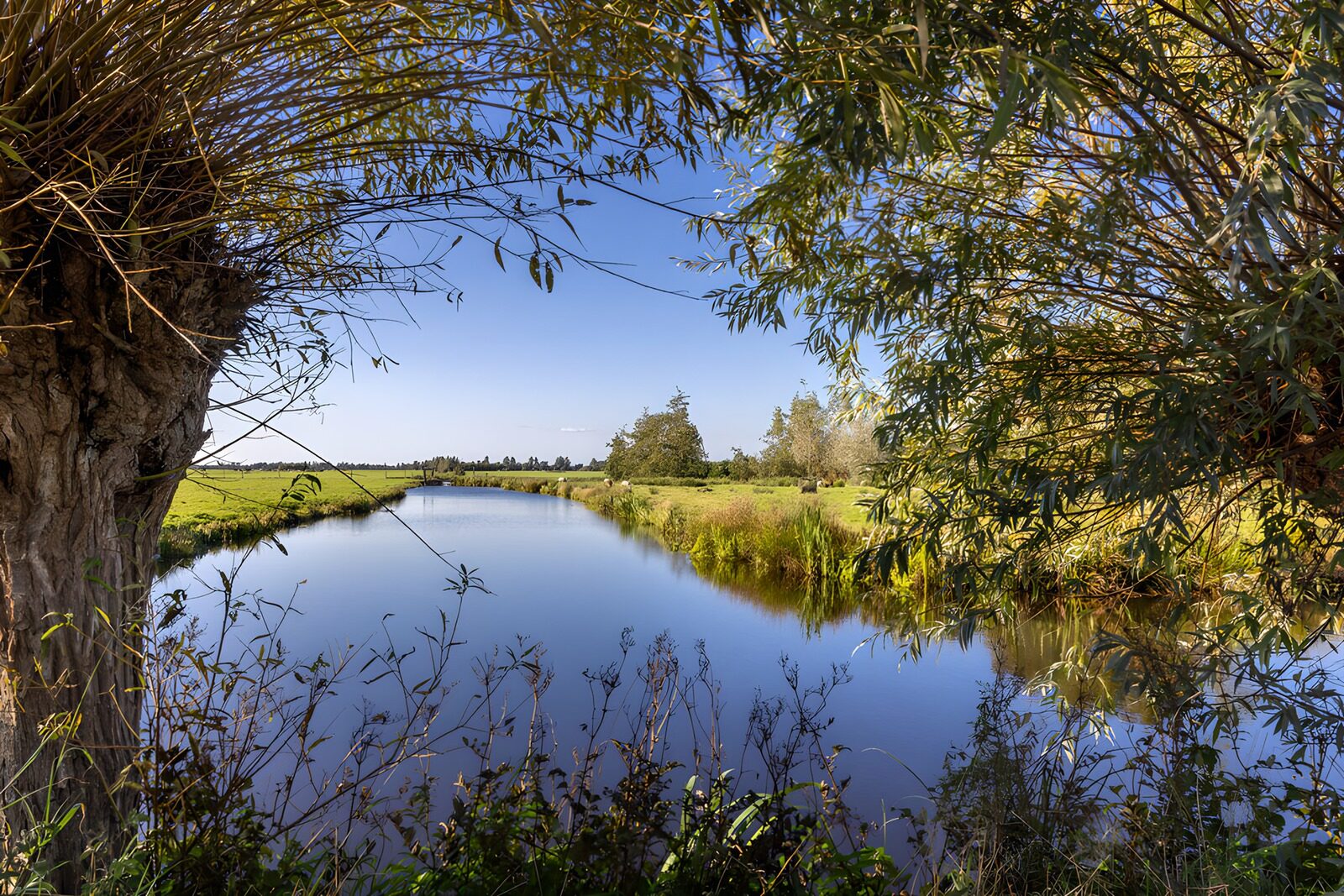 OCUK35995: Serene Waterscape in Nature's Embrace