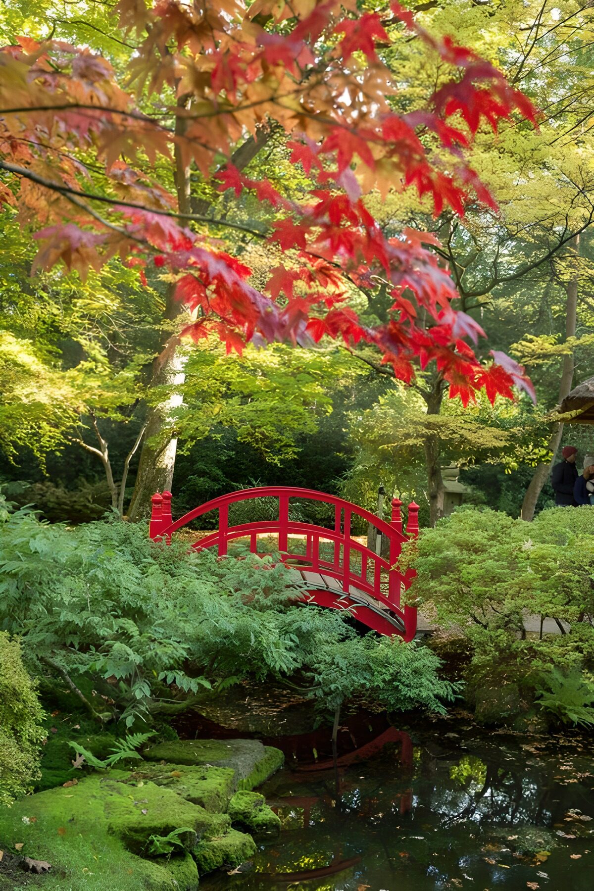 OCUK20750: Tranquil Japanese Garden Bridge
