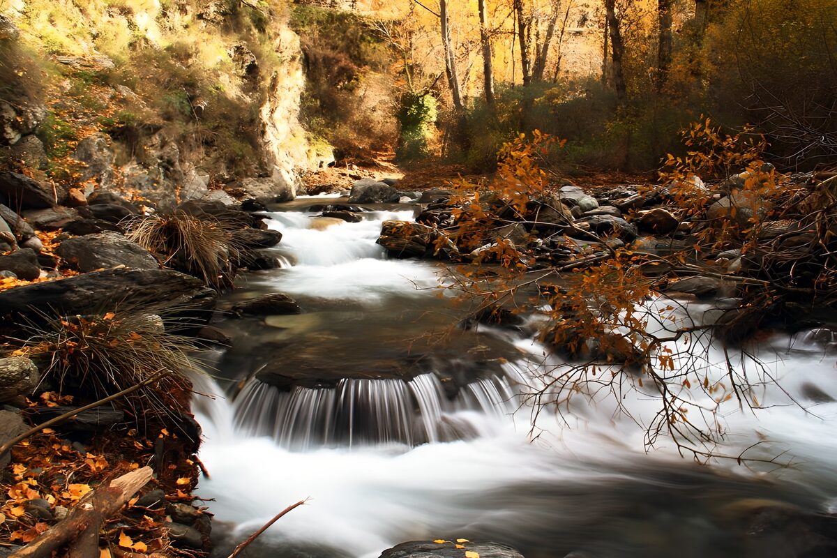 OCUK47623: Autumn Serenity by the Stream