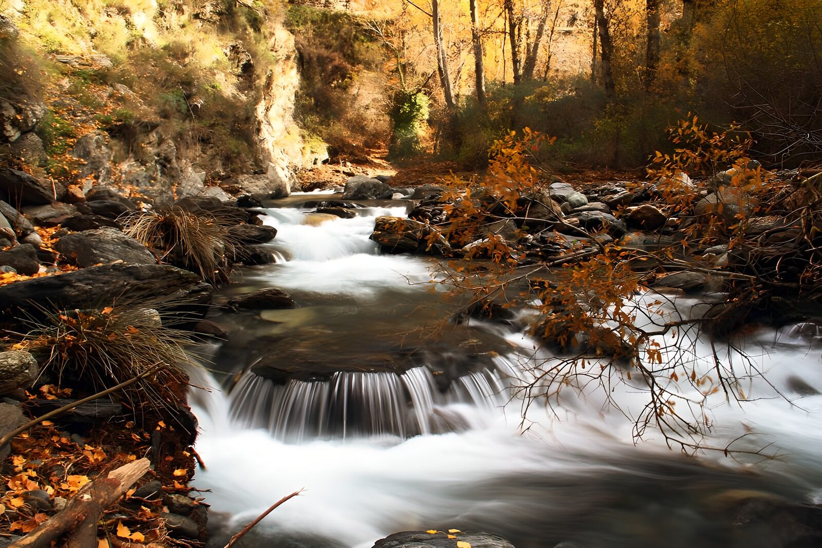 OCUK47623: Autumn Serenity by the Stream