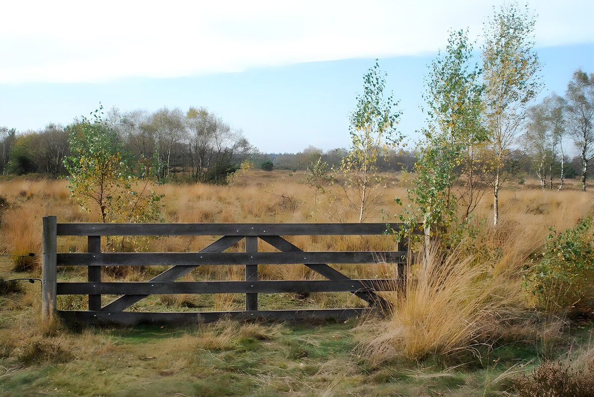 OCUK13522: Tranquil Nature Gate in the Grasslands