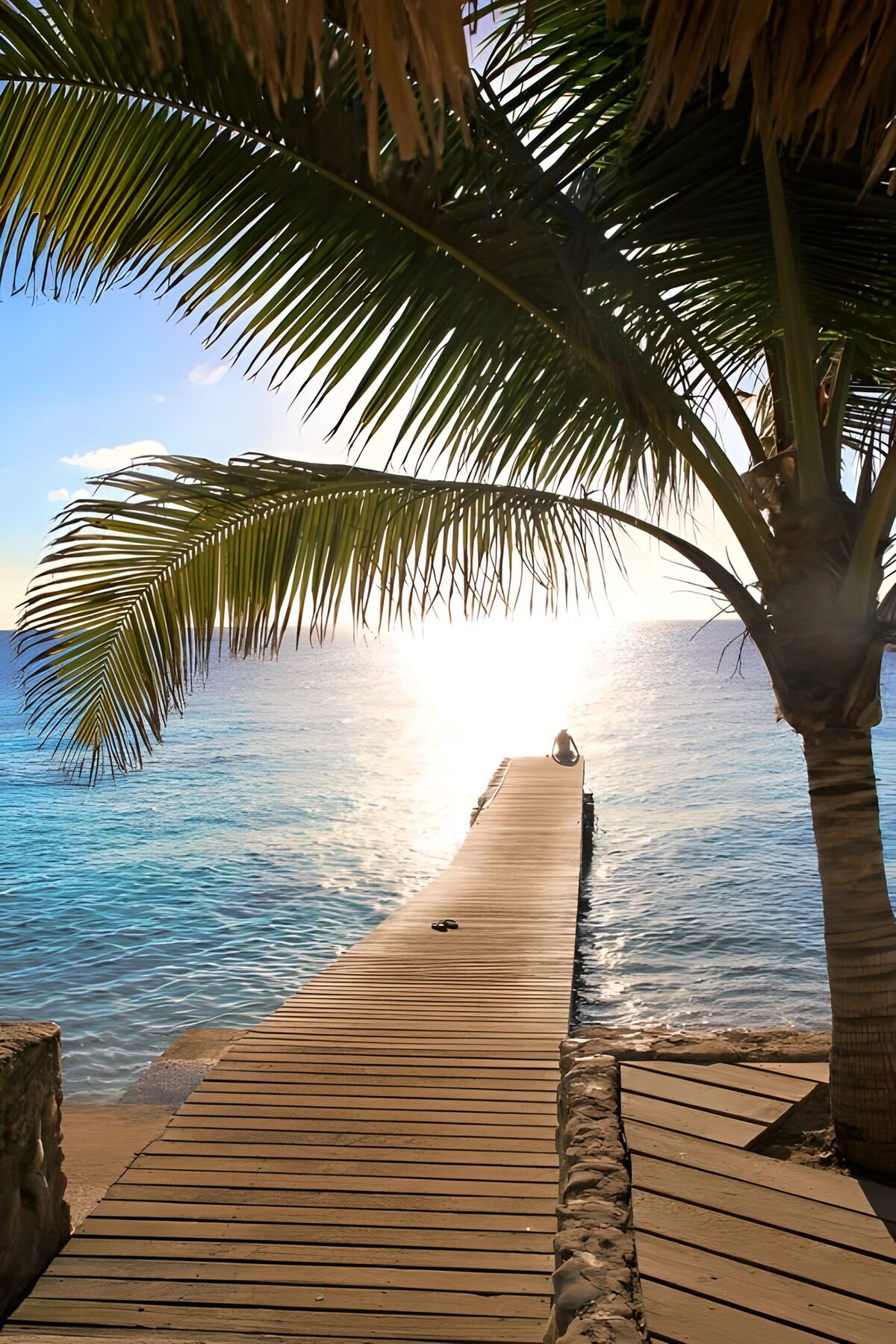 OCUK52540: Jetty in the sea with palm trees