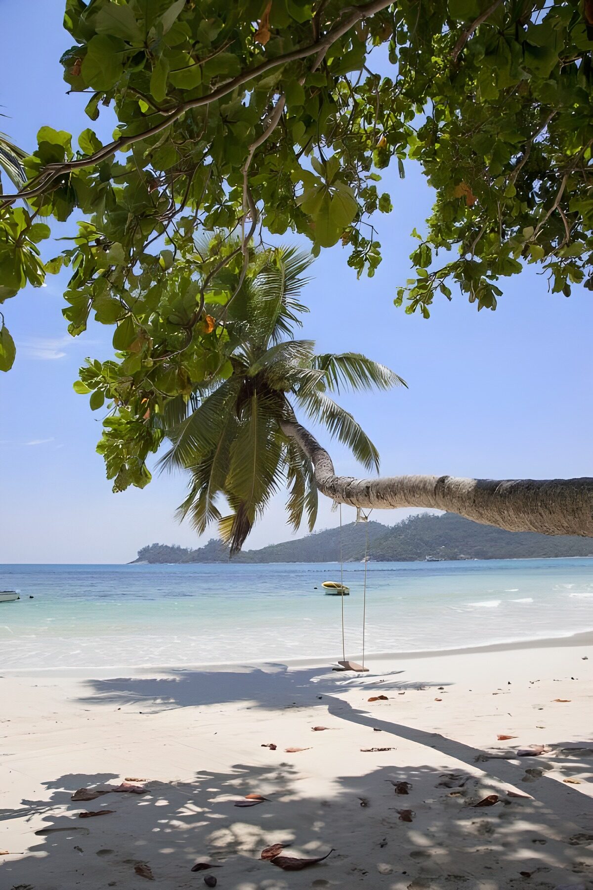 OCUK33610: Serene Beach with Swaying Palm Trees