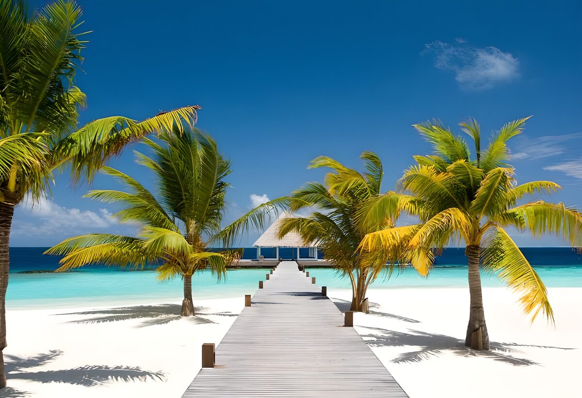 OCUK11542: Jetty at the Maldives with palm trees