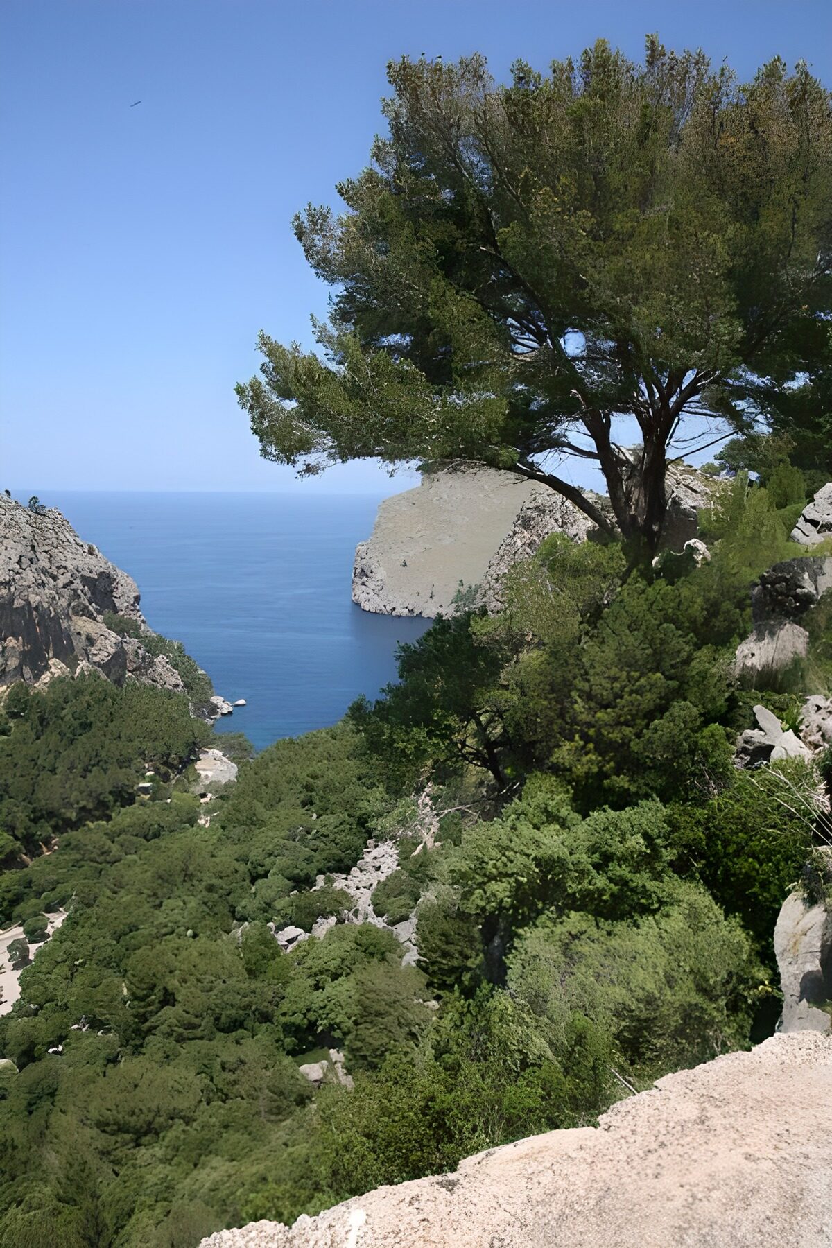 OCUK23219: Panoramic view across the sea ,tree and bushes 1