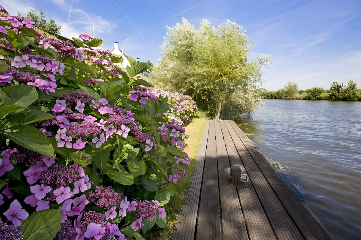 OCUK19424: Hortensia with a wharf at the