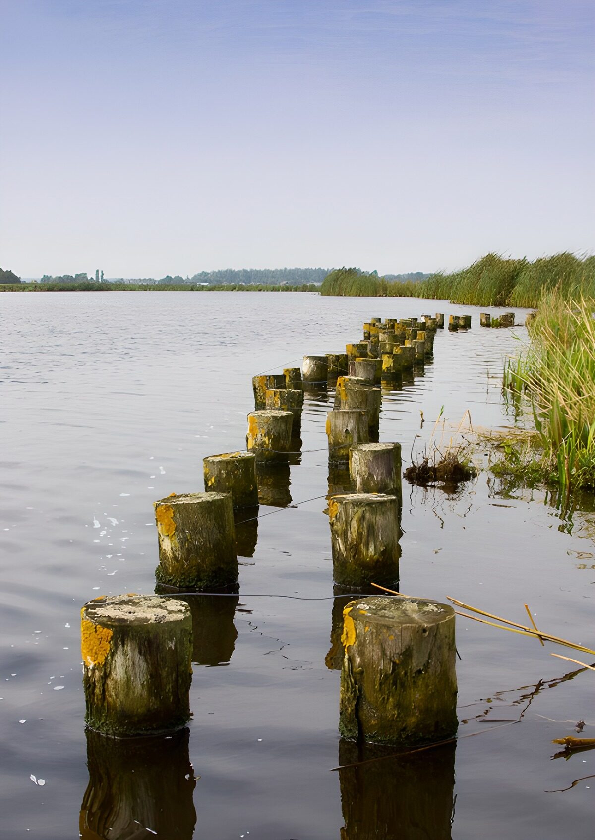 OCUK53461: Tranquil Waters and Wooden Planks
