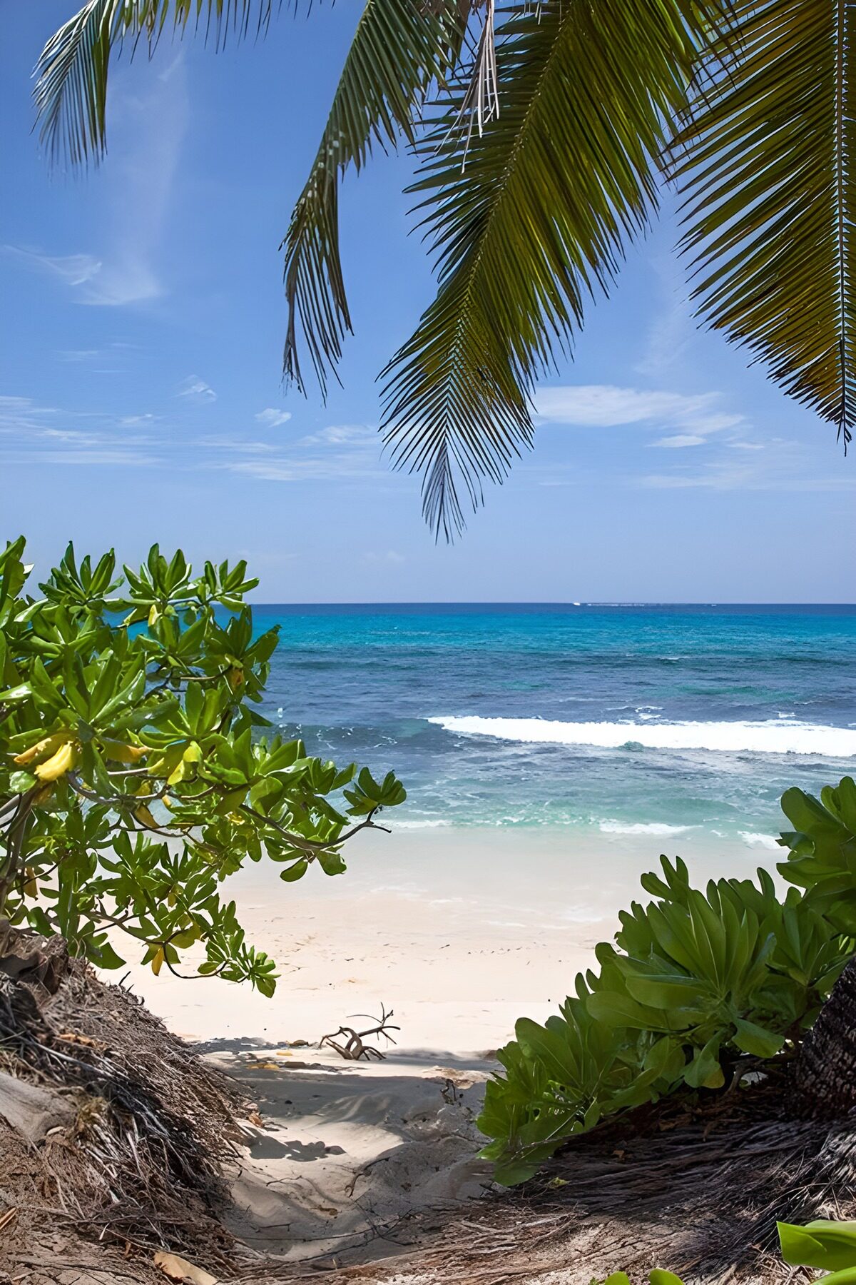 Looking at a pathway to the beach and sea