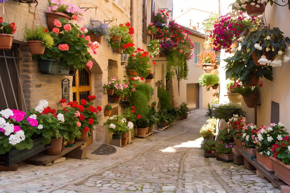 OCUK12461: Street with colourful pots and plants