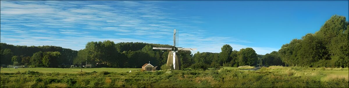 Dutch meadow landscapes 1