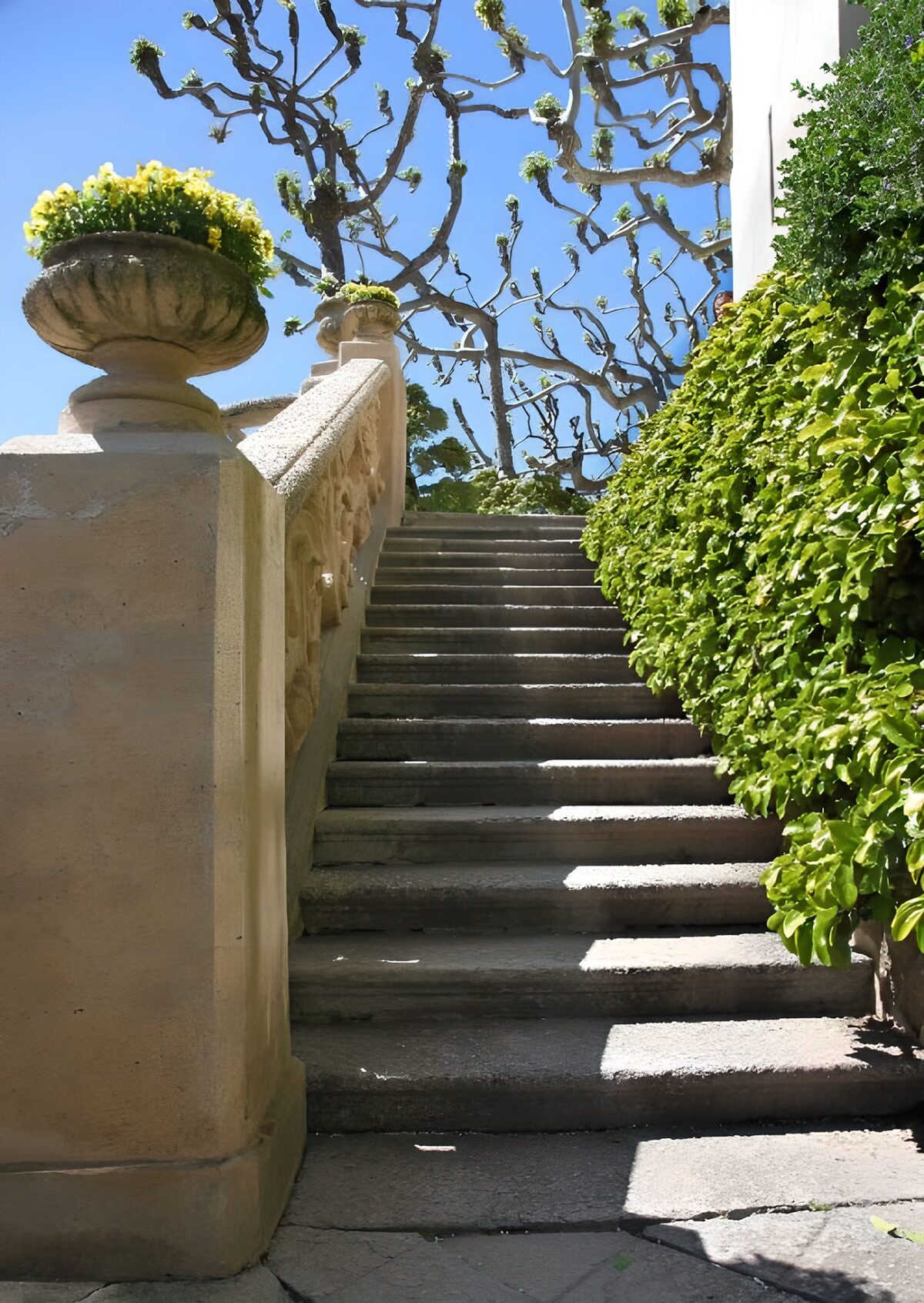 OCUK20035: Serene Garden Steps