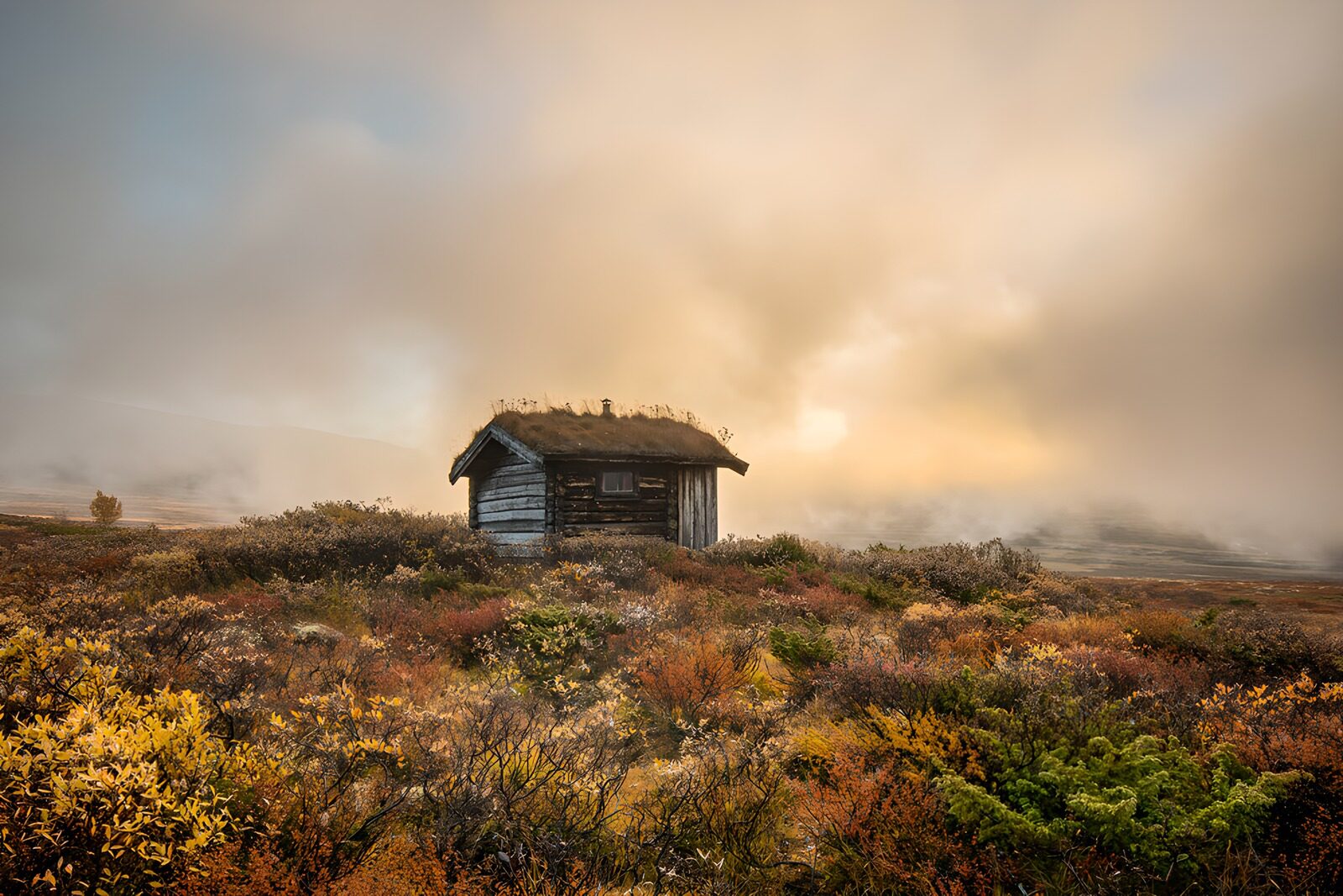 OCUK76605: Misty Cabin in Autumn Landscape