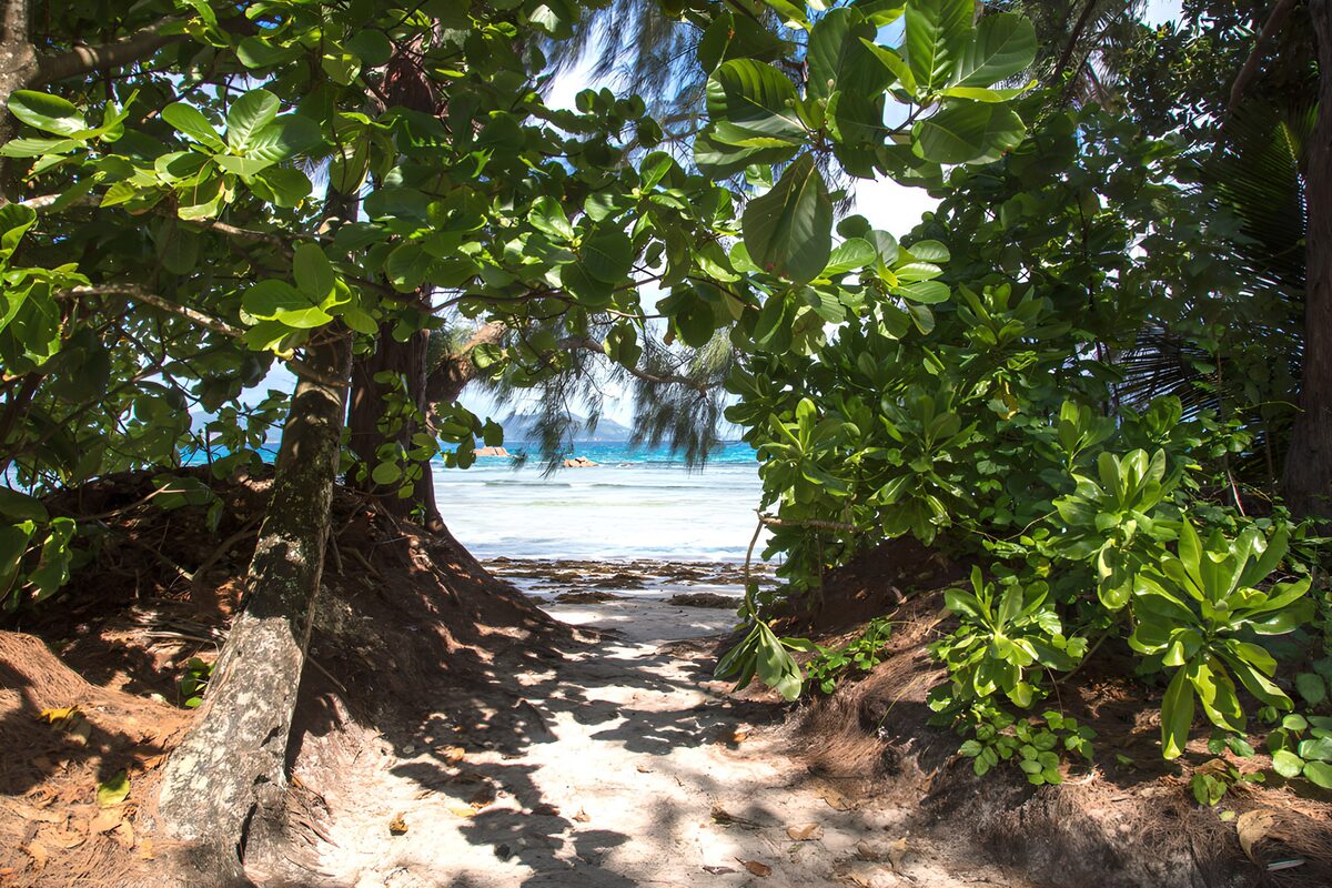 OCUK17101: Pathway to Paradise