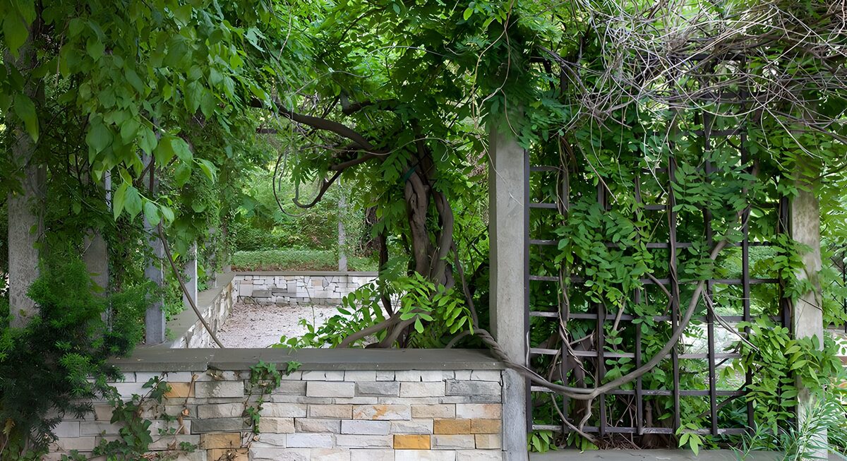 OCUK90376: Lush Green Garden Gateway