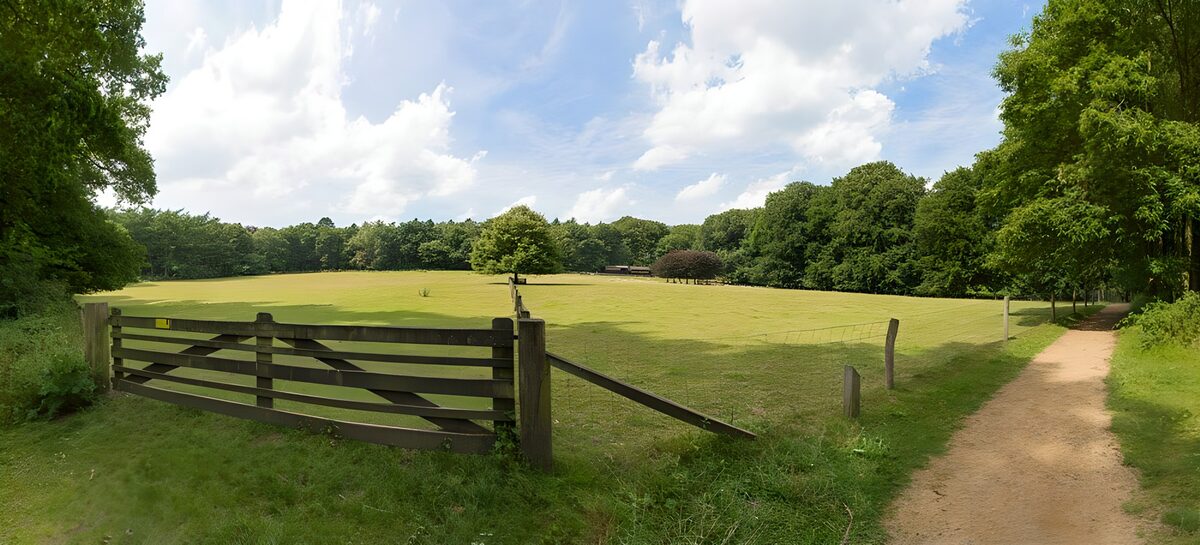 Wooden fence to a meadow with sheep shed