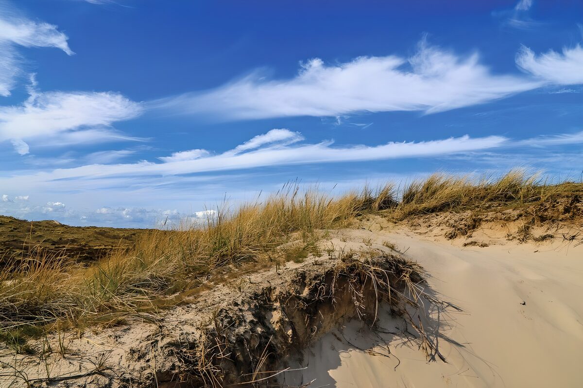 OCUK25000: Serene Dune Landscape Under Blue Skies
