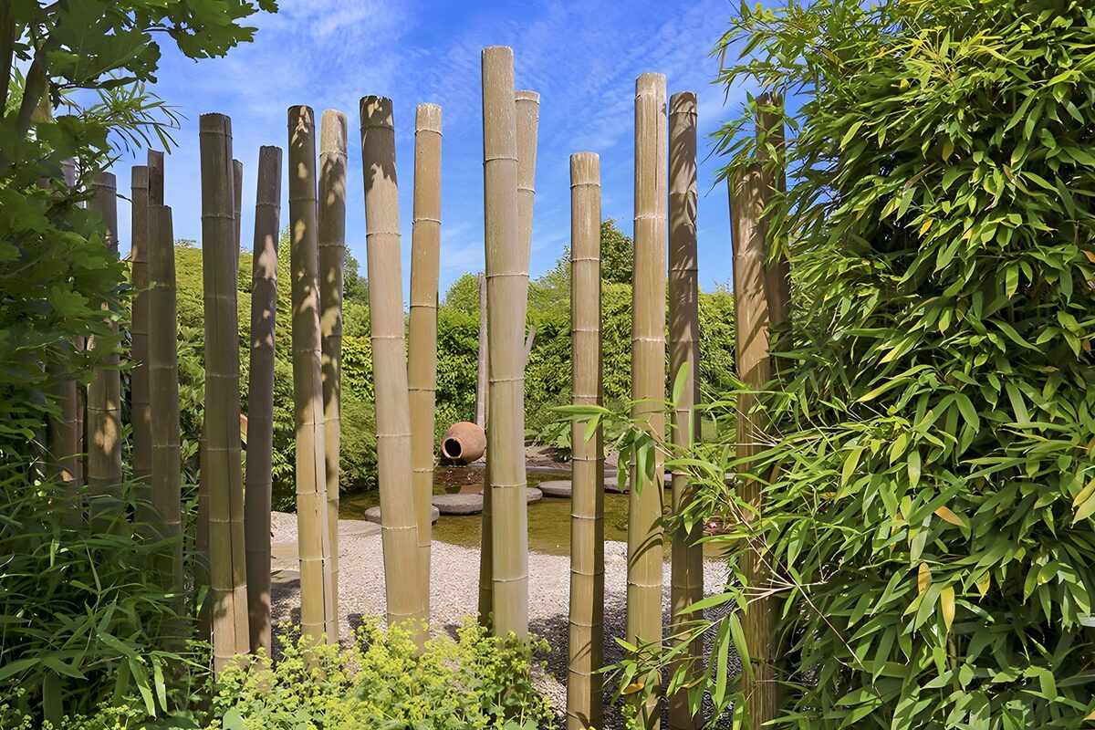OCUK77343: Poles of bamboo with a view on the pond