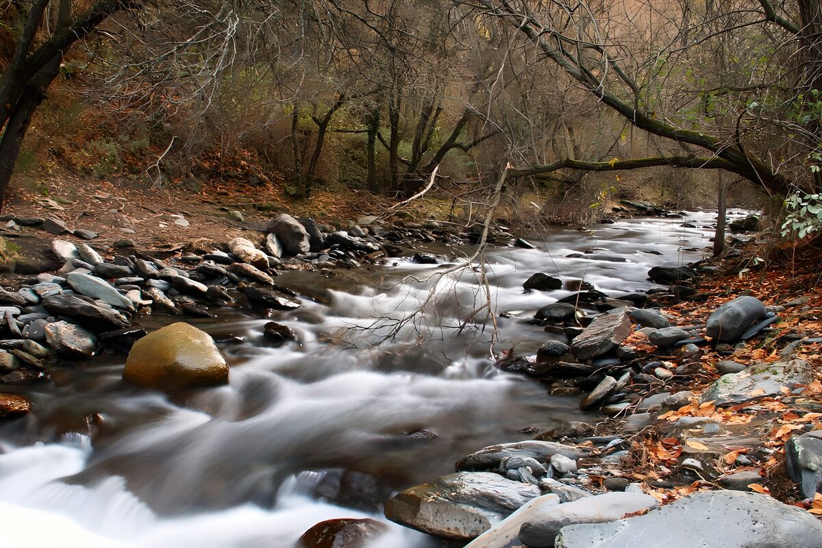 OCUK27344: Serene Stream Flowing Through Autumn Woods