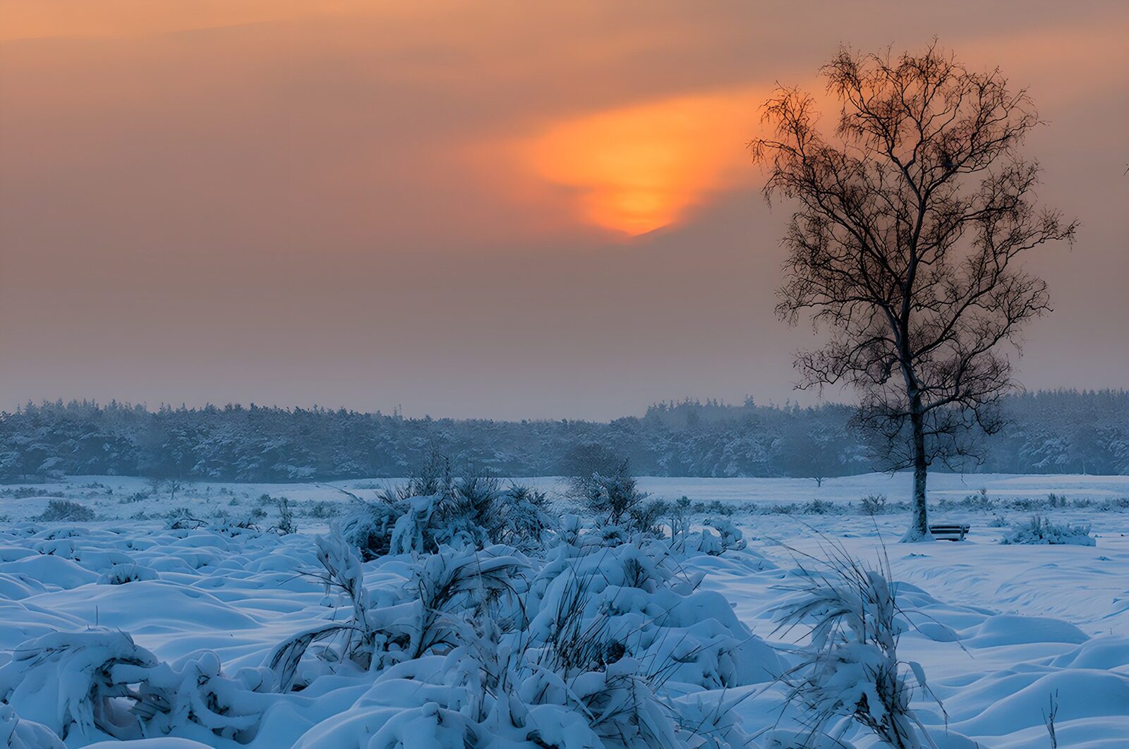 OCUK78270: Winter Serenity at Dusk