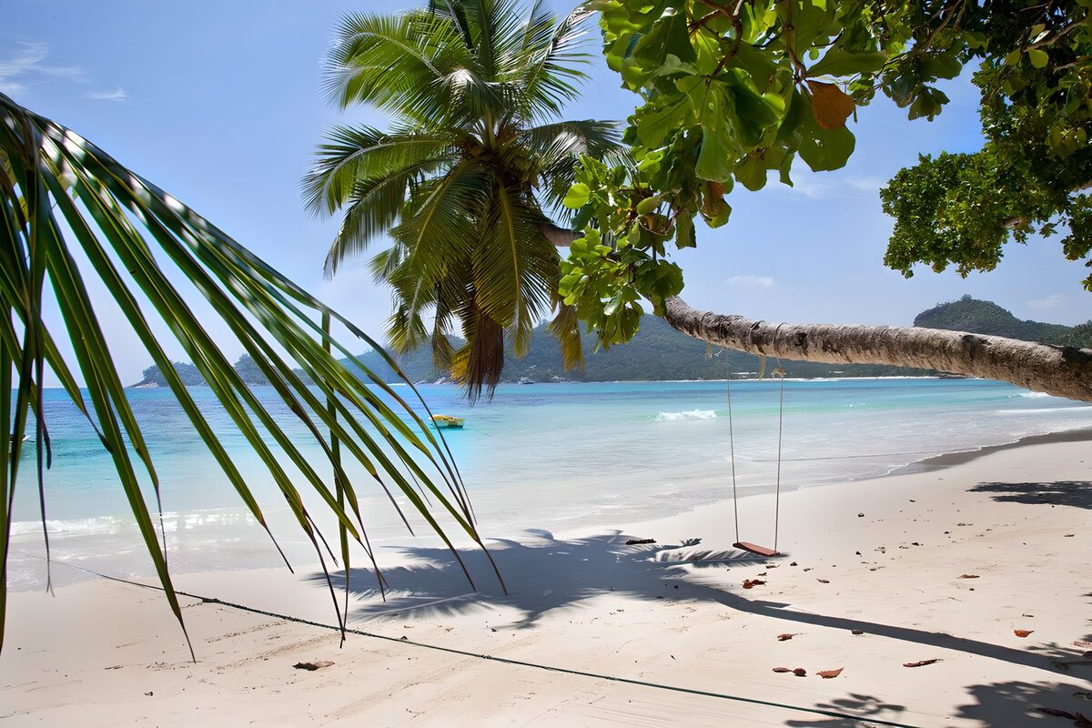 OCUK89763: Tropical Paradise by the Shore