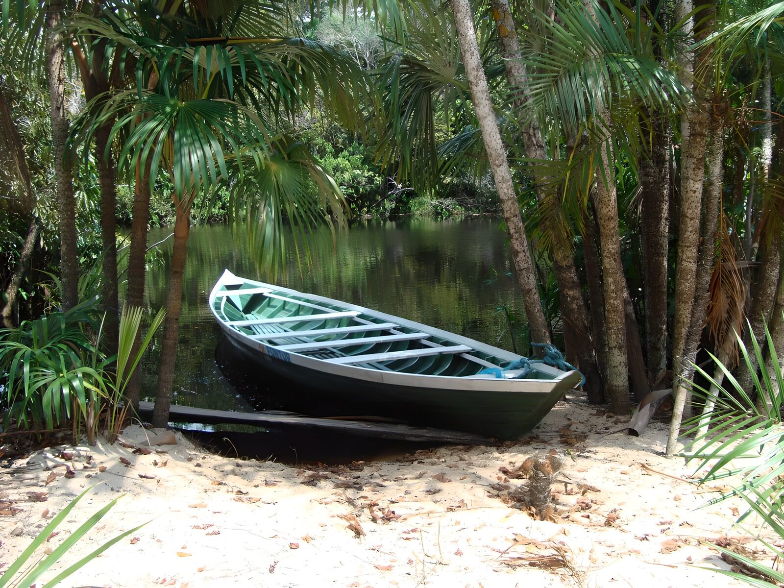 OCUK94416: Serene Jungle Cove with a Boat