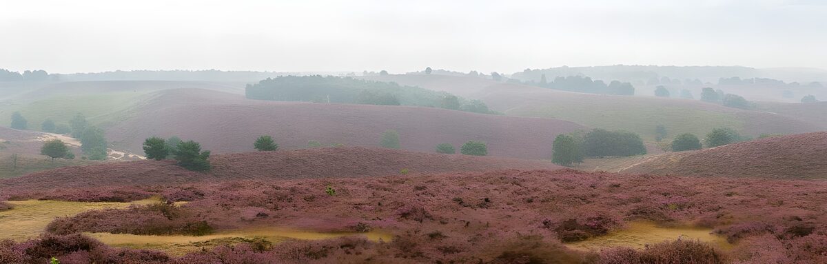 OCUK82905: View of moorland 2