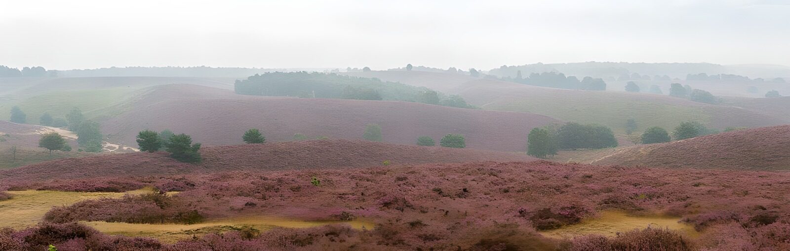 OCUK82905: View of moorland 2