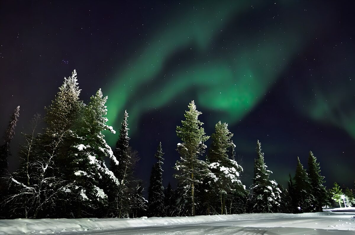 OCUK87897: Dancing Lights Over Winter Forest