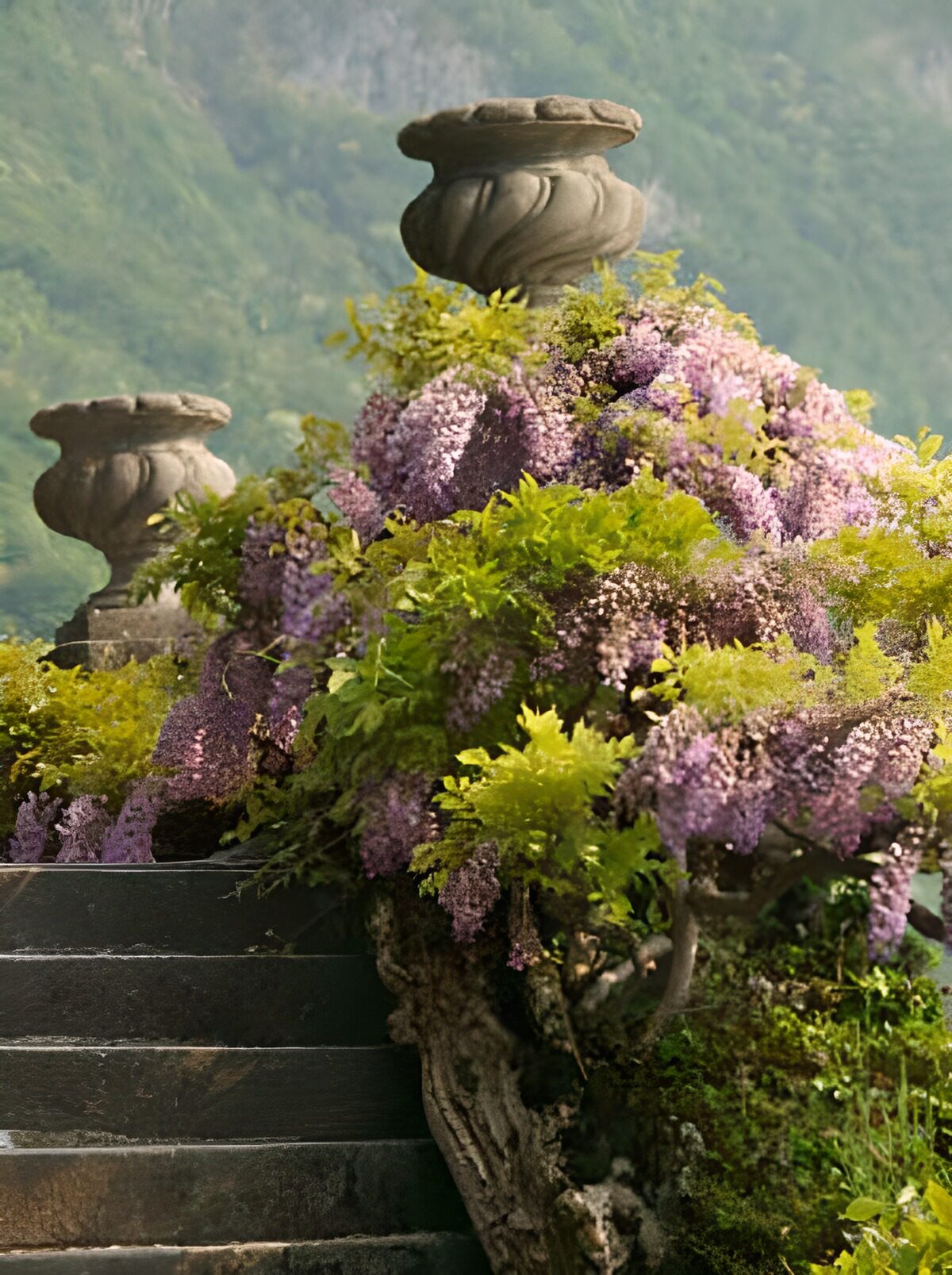Urn between Blue Wistera and ascending steps