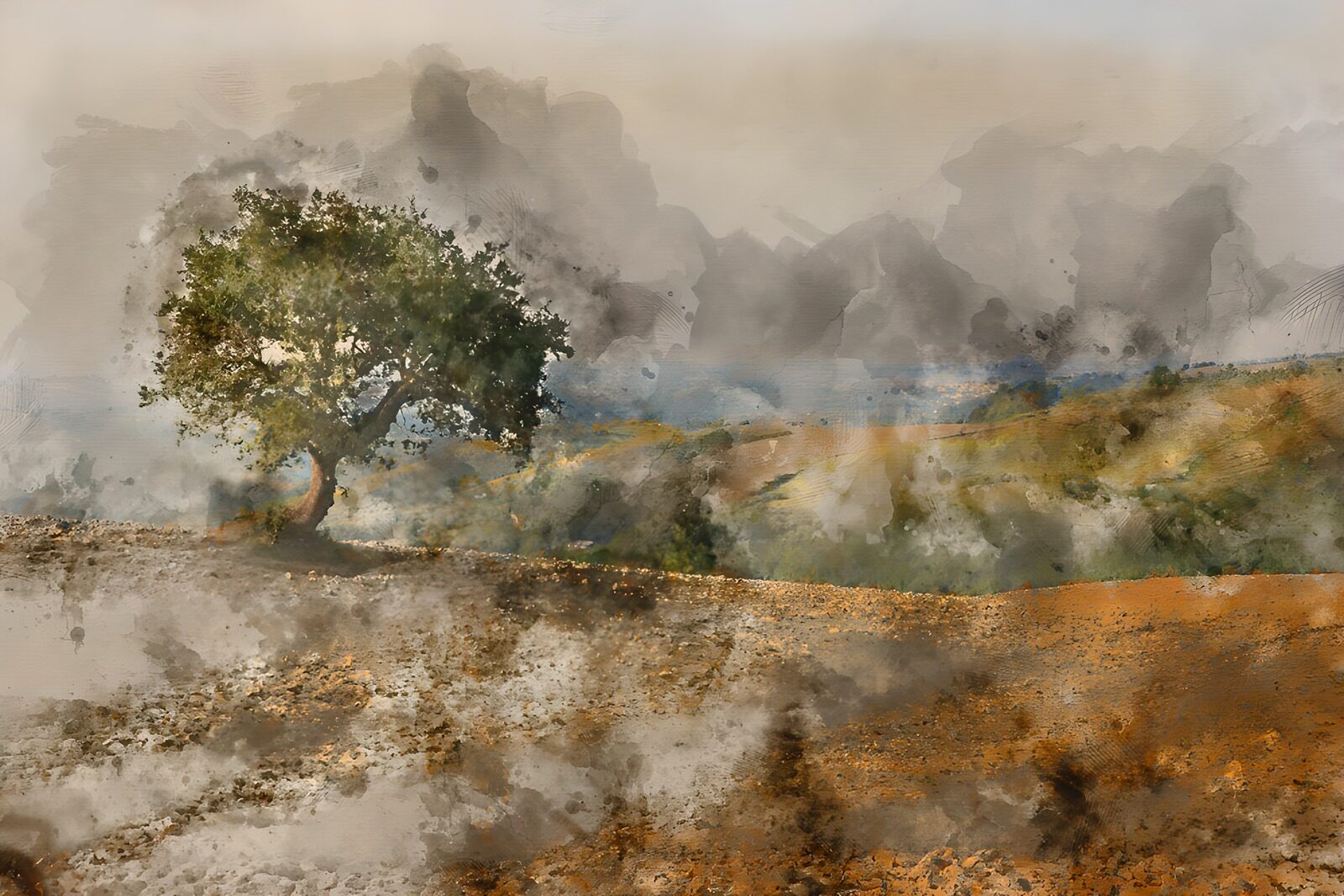 OCUK43141: Solitary Tree in a Misty Landscape
