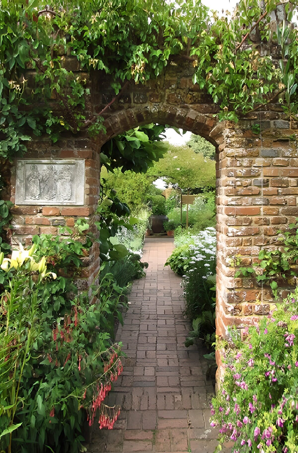 OCUK50409: Brick wall overgrown with ivy