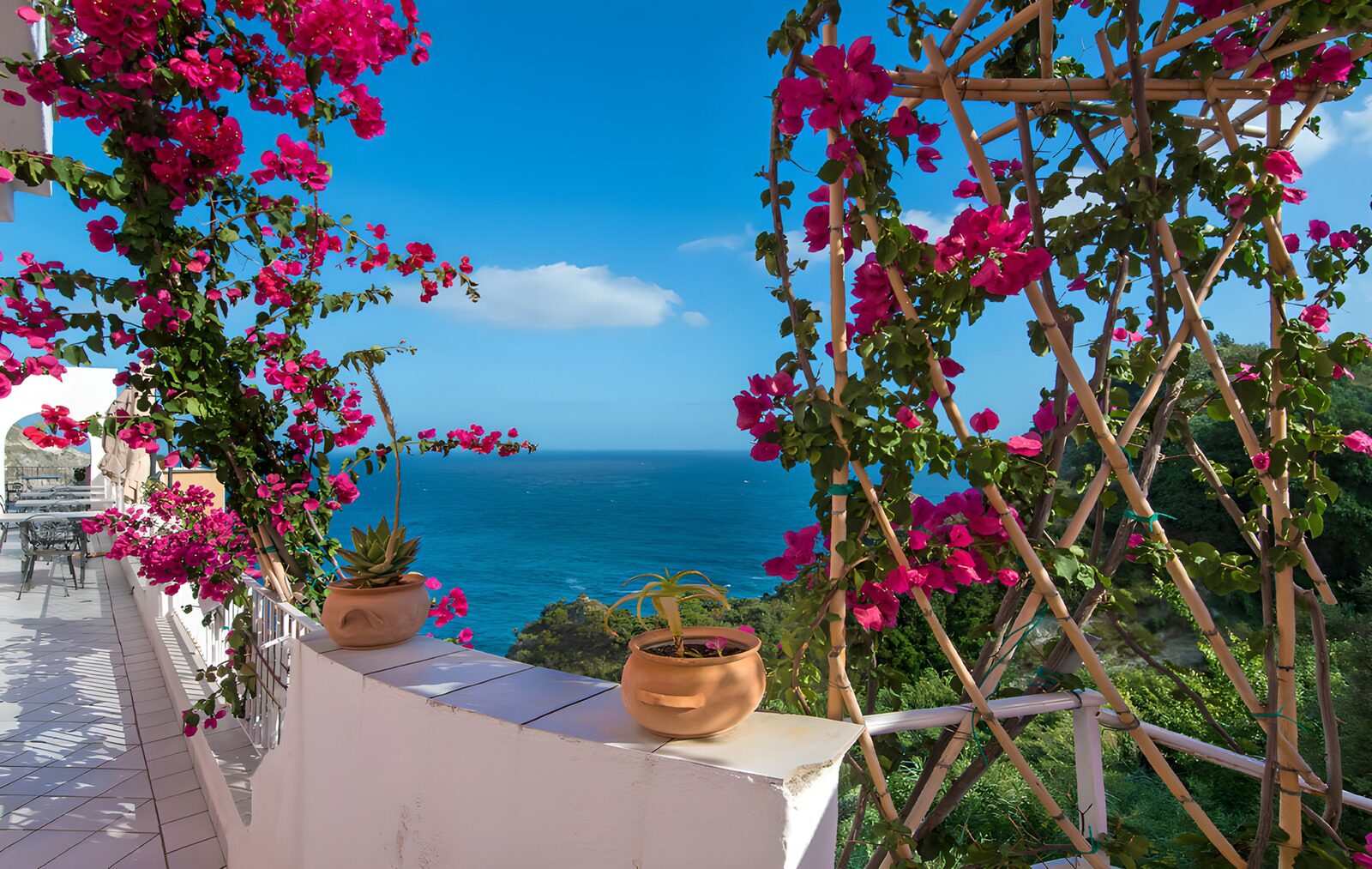 OCUK78743: Coastal Paradise with Bougainvillea