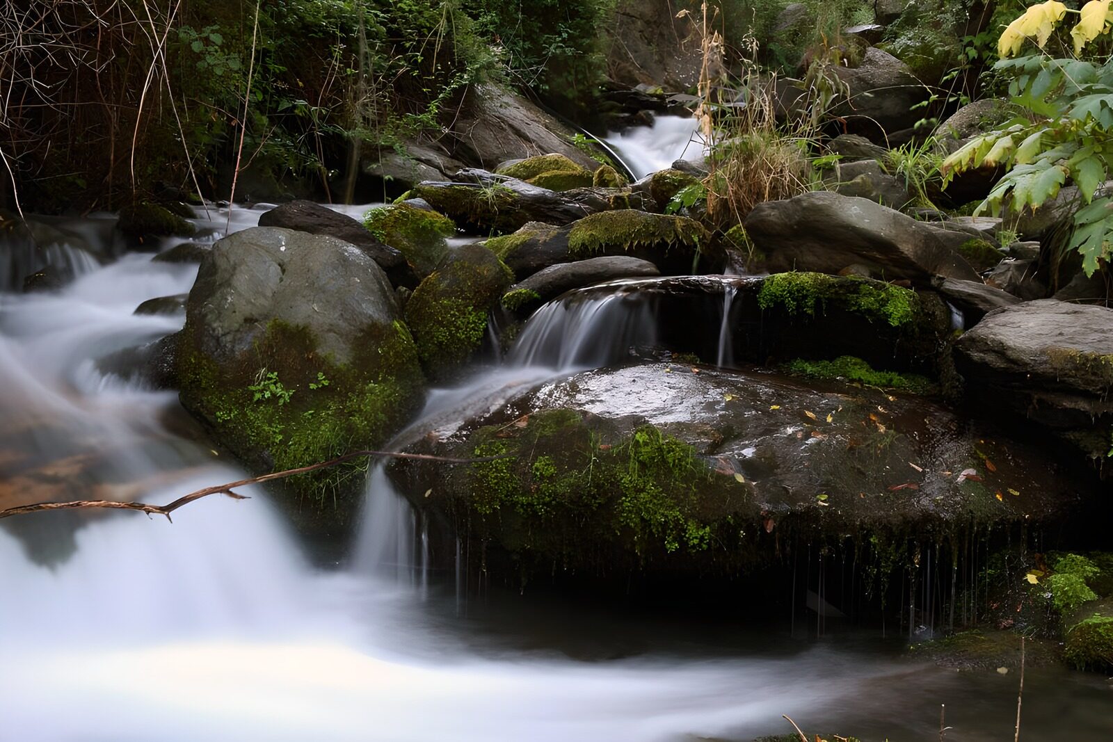 OCUK35738: Serene Stream in Nature's Embrace