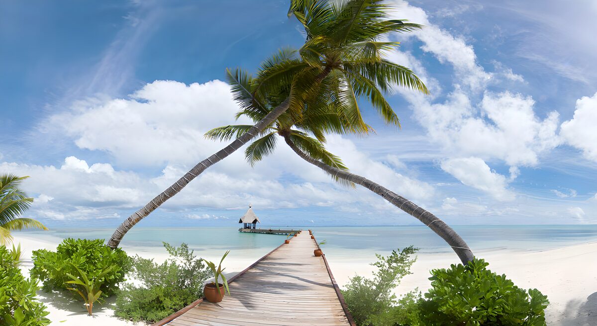 Tropical Paradise by the Sea