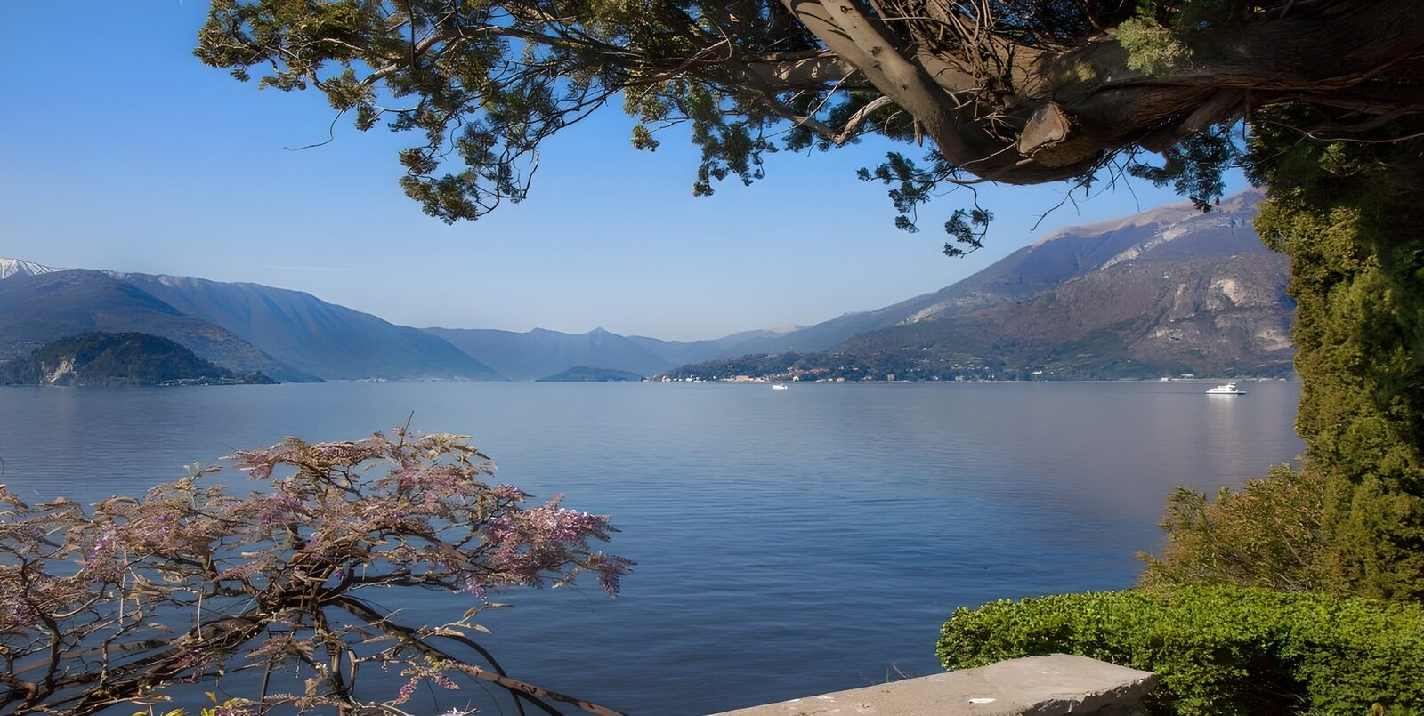 OCUK88116: Serene Lake View in Early Spring