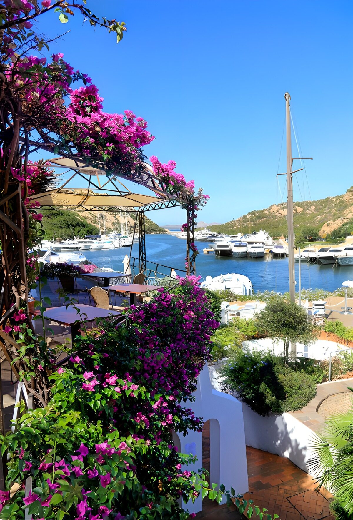 OCUK51930: Serene Marina Oasis with Bougainvillea