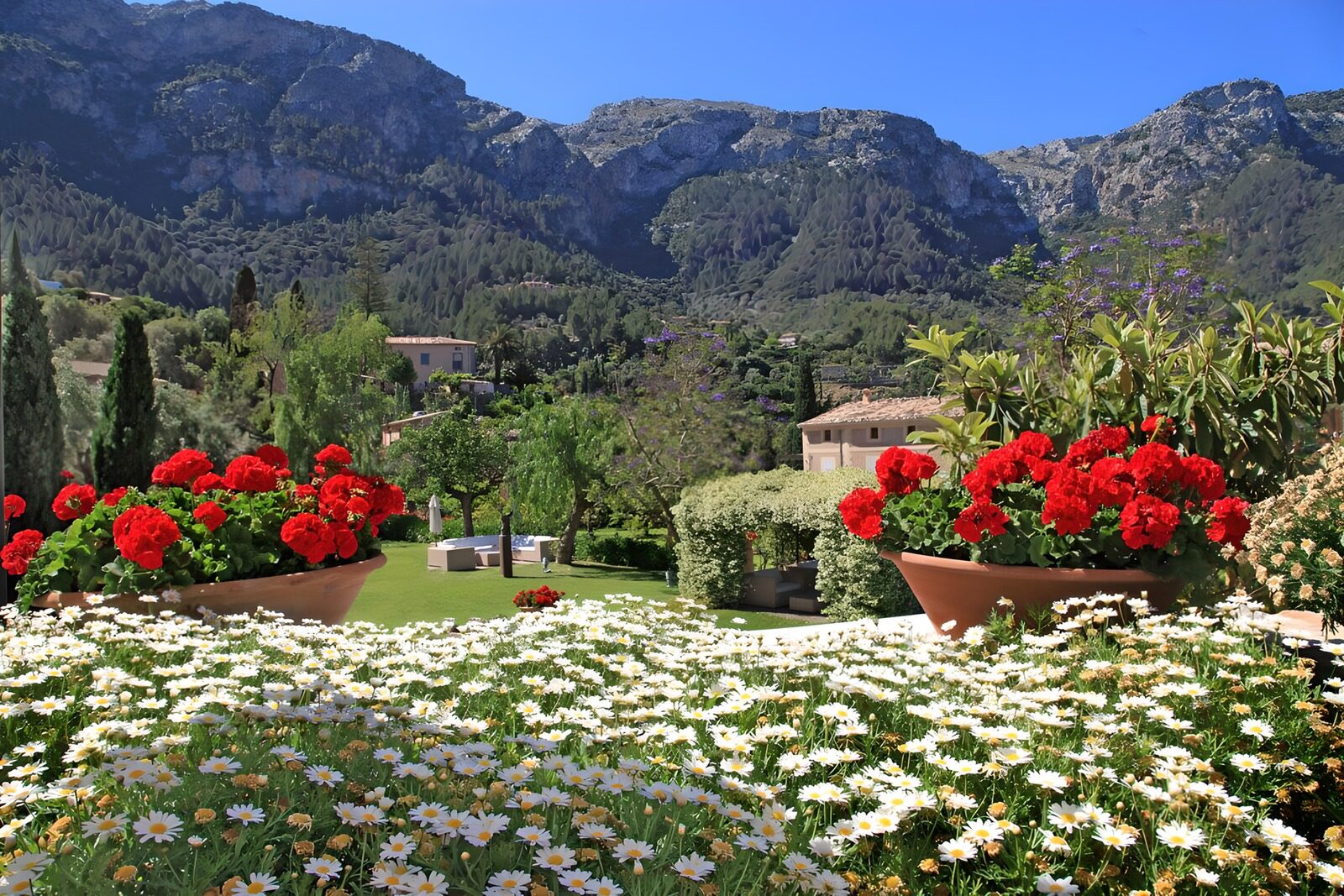 OCUK54279: Garden with beautiful flowers and lookout at the mountain